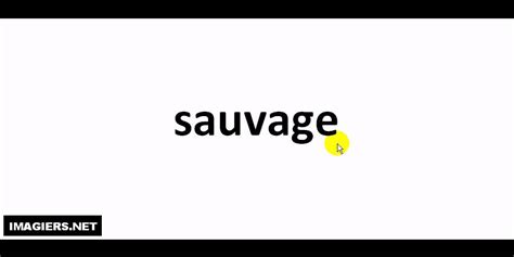 sauvage pronunciation in french